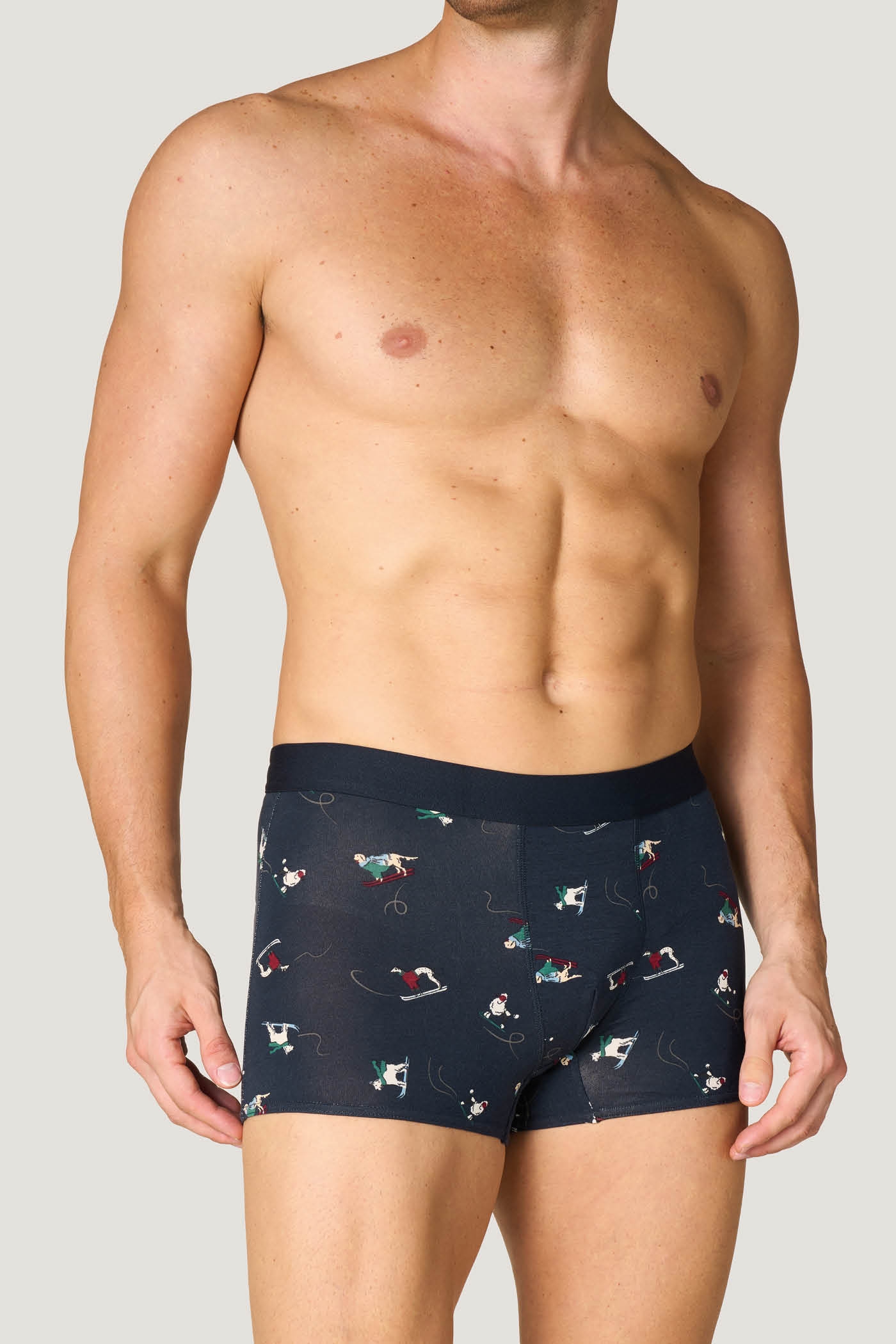 Boxer Regular Dog Skiers