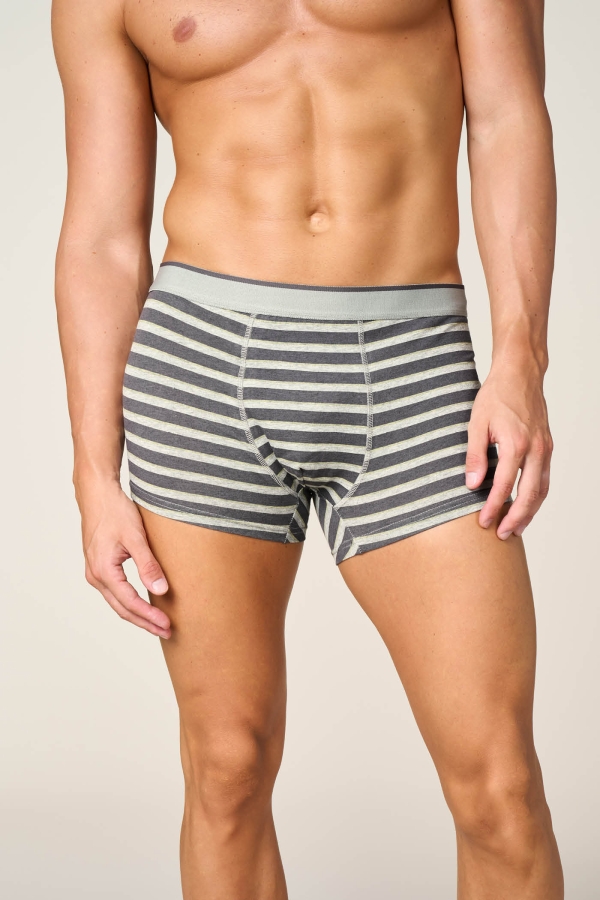 Boxer Regular con Cotone Organico Righe